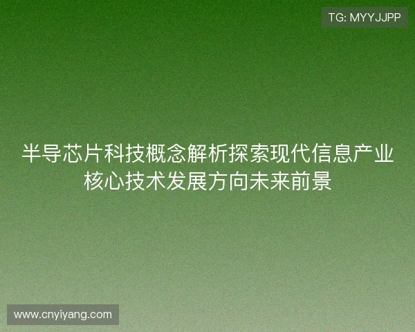 半导芯片科技概念解析探索现代信息产业核心技术发展方向未来前景