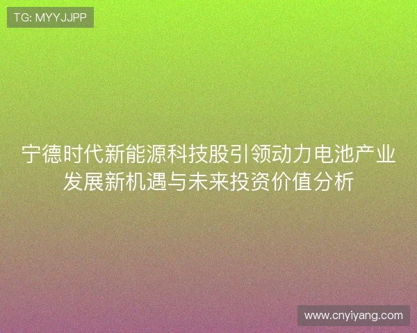 宁德时代新能源科技股引领动力电池产业发展新机遇与未来投资价值分析